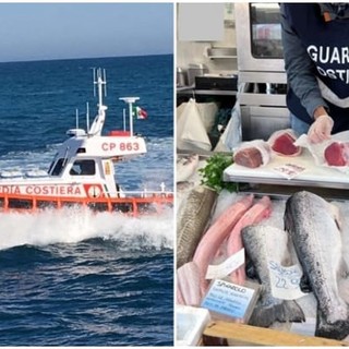 Varazze, pesce azzurro in arbanelle senza etichettatura: sanzionato il titolare del punto vendita
