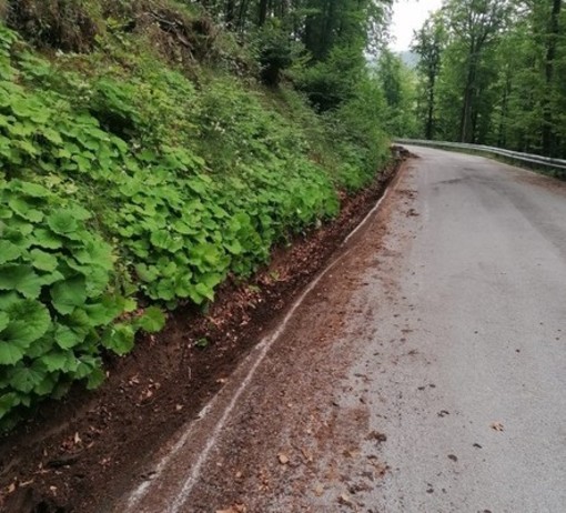 Forte vento fa crollare rami sulla strada del colle del Melogno: cantonieri al lavoro