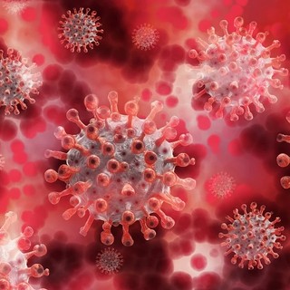 Coronavirus: aumentano le persone in sorveglianza attiva, 27 nuovi positivi nel Savonese