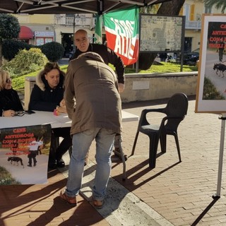 Albenga: raccolta firme per dotare la Polizia Locale di un cane antidroga