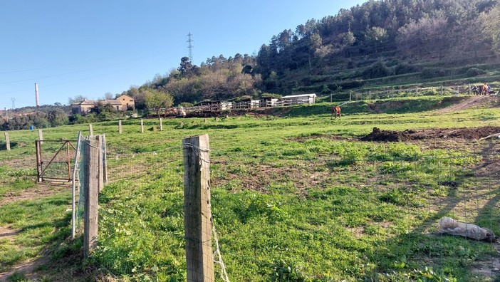 Terreno in località Casina dove è previsto il posizionamento del Pde