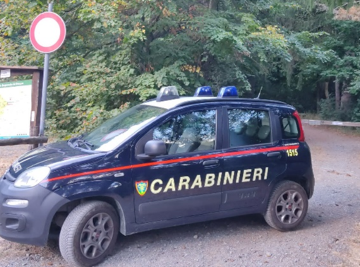 Calizzano, sgominato traffico illecito di cani da caccia: denunciato un cittadino serbo