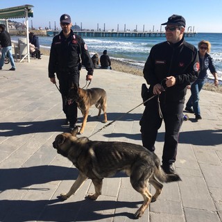 Alassio, carabinieri tra la gente, continuano i serrati controlli. All'opera l'unità cinofila