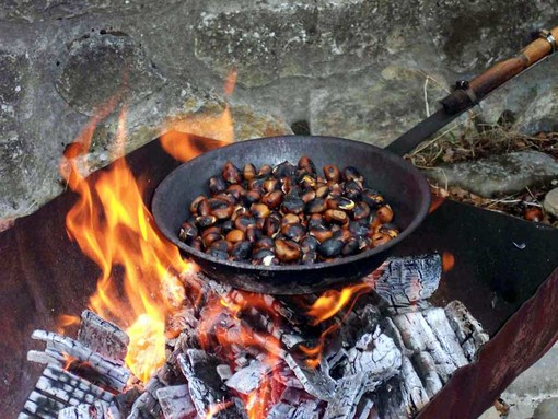 Tradizionale castagnata a Balestrino