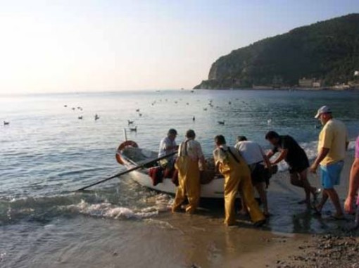 Contrassegnare il pesce ligure con il marchio &quot;pescato in Liguria&quot;. Danilo Bruno: &quot;Ma pescato da chi?&quot;