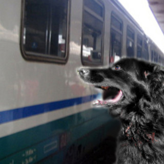 &quot;Il cane sul treno non può viaggiare? Noi dell'Enpa valuteremo alcune ipotesi di reato&quot;