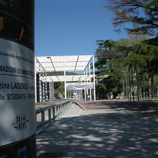 Università: aumentano le tasse regionali, Rossetti da la colpa al Governo