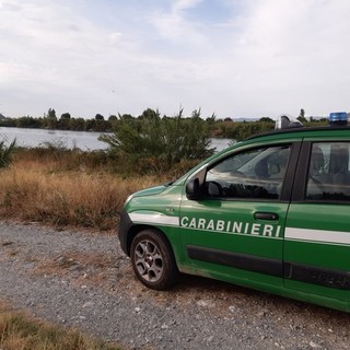 Incendio boschivo ad Andora, piromane denunciata dai Forestali