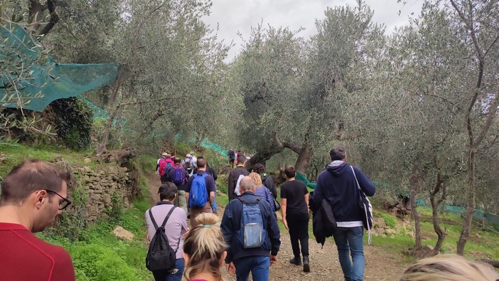 Andora, il 27 ottobre torna la Camminata fra gli Olivi