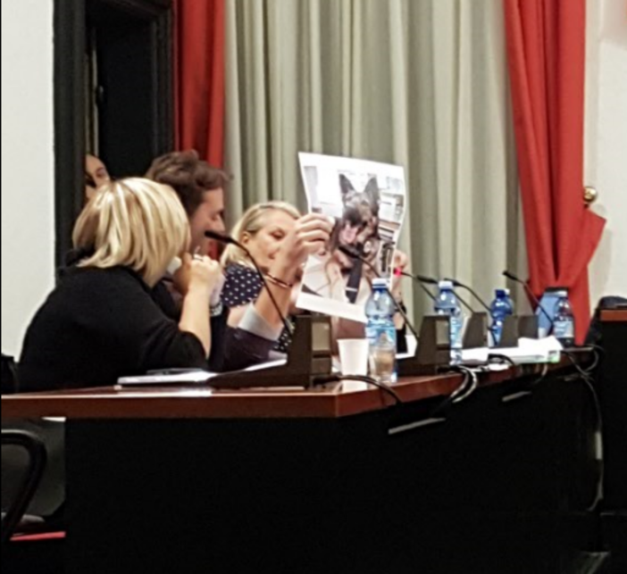 Show in consiglio: Albenga non avrà una unità cinofila per la Polizia Municipale