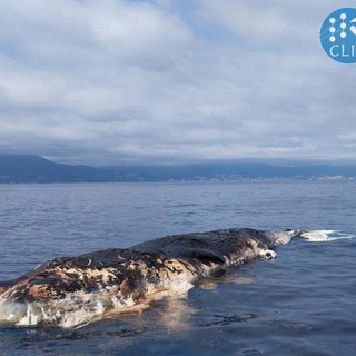 Foto pagina Facebook &quot;Menkab, il respiro del mare&quot;