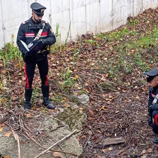 Cadavere a Ceriale: il 32enne Andrea Soldati fermato per omicidio, l'ombra di una vendetta personale