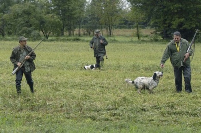 Piano faunistico venatorio, nessuna critica da parte della Protezione animali all'assessore Revetria