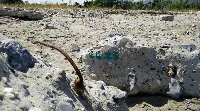 Ceriale: Enpa &quot;Era una spiaggia dogfriendly, ora è una spiaggia inospitale&quot;