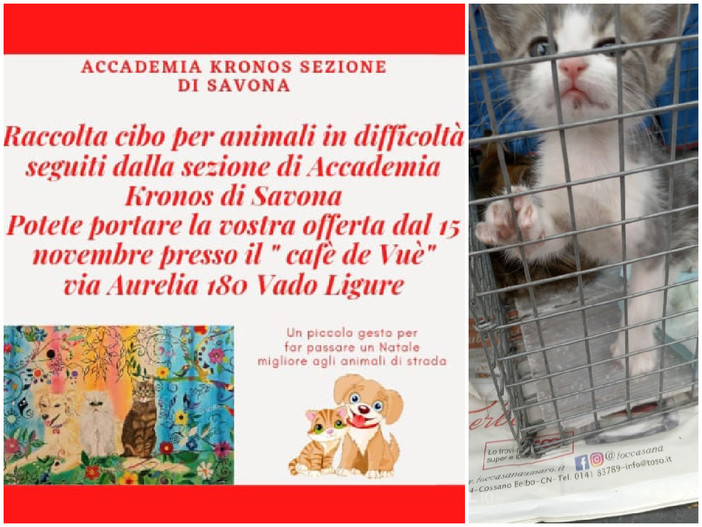 Accademia Kronos Savona: dal 15 novembre raccolta di cibo per animali presso il &quot;Cafe de Vuè&quot;