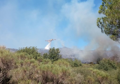 Incendio boschivo sulle alture di Alassio: mobilitati vigili del fuoco e volontari (FOTO)