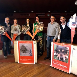 Cairo dice no alle deiezioni canine: presentata la campagna di sensibilizzazione #nonfarefiguredicacca