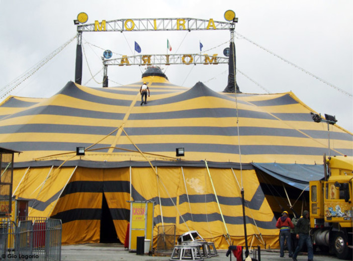 &quot;No al circo a Savona&quot;: protesta di animalisti e cittadini sabato in piazza del Popolo