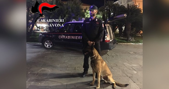 Albenga, controlli antidroga dei Carabinieri: sanzioni per violazione dell’ordinanza sugli alcolici e ritiro di una patente