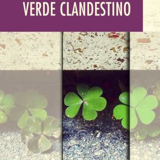 Savona, alla Ubik lo scrittore Fabio Balocco presenta il suo libro &quot;Verde clandestino&quot;