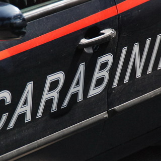 Albisola, carabinieri alla ricerca di un portafoglio rubato scoprono una piccola “piantagione” di cannabis: denunciato un giovane