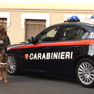 I carabinieri a scuola con l'unità cinofila, sevizio di prevenzione antidroga a Savona (FOTO)