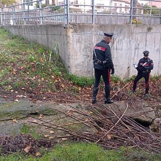 Omicidio di Ceriale, molestie ad una donna come movente: strangolato dal collare di un cane