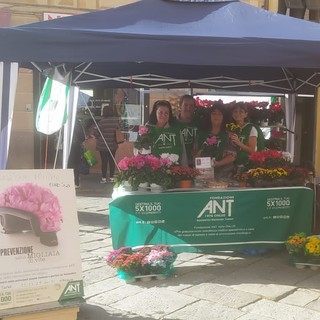 Albenga, l'autunno di Fondazione ANT dedicato alla prevenzione: &quot;Nella speranza che i ciclamini vadano come sempre a ruba&quot;