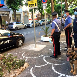 Operazione antidroga ad Albenga: arrestato uno spacciatore, un altro colpito da divieto di dimora nel savonese