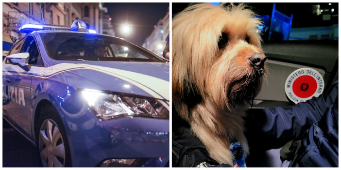 Il piccolo cagnolino Leo si perde, il lieto fine arriva grazie agli agenti della Polizia di Alassio