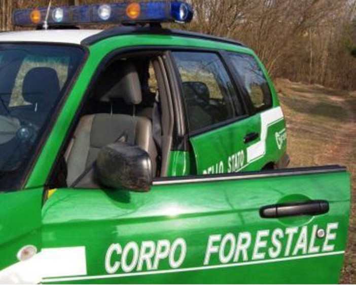 Corpo Forestale, Coisp: &quot;L'accorpamento con l'Arma non si deve fare, peggiorerà il servizio ai cittadini e mortificherà i diritti degli Operatori”