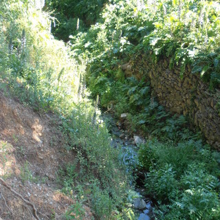 Alassio, gli interventi di pulizia di rii e torrenti proseguono con il rio Castello