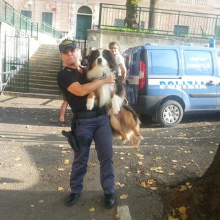 Come i cani possono aiutare le Forze dell'Ordine? Ce lo spiega il Sovrintendente Capo Squadra Cinofili Alessandro Pinotti