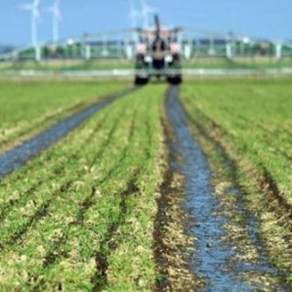 In Liguria su 163mila imprese 14mila sono under 35: nel 2018 importante incremento nel settore agricolo