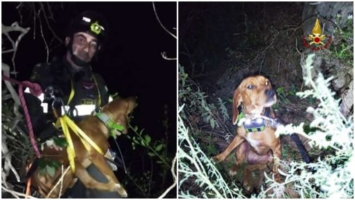 Orco Feglino: cane si allontana dal padrone e cade in una scarpata, soccorso dai vigili del fuoco