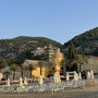Varigotti celebra San Lorenzo e i 400 anni di fondazione della parrocchia: un lungo calendario di iniziative