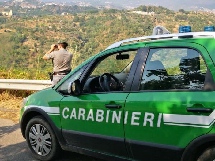 Rifiuti abbandonati a Savona, intervengono i Carabinieri della stazione Forestale