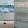 &quot;Il peso dell'H&quot;, il libro della cairese Francesca Gagliardo: &quot;Racconto la mia esperienza di madre di una ragazza disabile&quot;