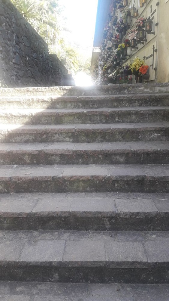 Cimitero di Celle Ligure inadatto per i disabili. La segnalazione: &quot;Troppe scale. Non voglio far polemica, ma una riflessione&quot;