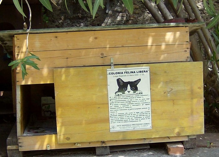 Albenga, cani liberi sterminano tre gatti: è caccia al proprietario