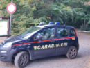 Calizzano, sgominato traffico illecito di cani da caccia: denunciato un cittadino serbo