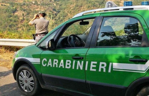 Borgio Verezzi, i carabinieri forestali sequestrano un cantiere per la ristrutturazione di una casa: quattro persone denunciate