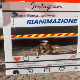 Spotorno, la Croce Bianca piange la scomparsa del cane Ettore: &quot;Ci lascia un gran soccorritore&quot;