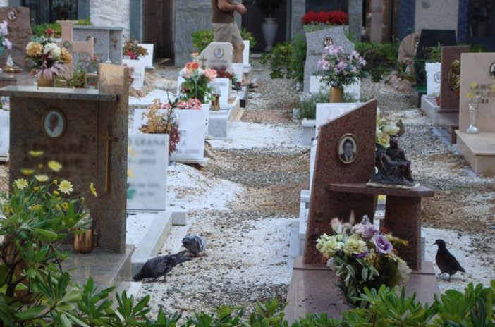 Furti nei cimiteri di Albenga ed Alassio
