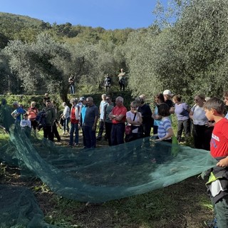 Andora temperature estive e entroterra protagonista: successo per la camminata fra gli ulivi con degustazione