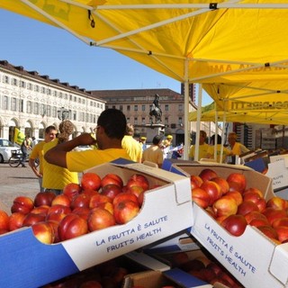 Coldiretti Savona: impariamo a mangiare a KM zero