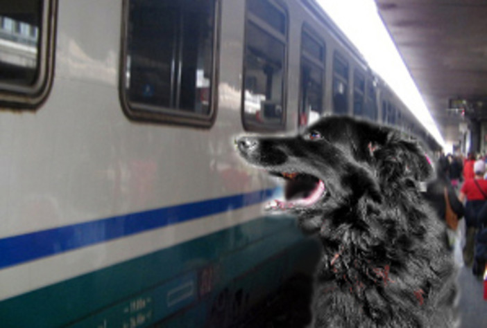 &quot;Il cane sul treno non può viaggiare? Noi dell'Enpa valuteremo alcune ipotesi di reato&quot;