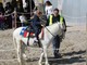 A cavallo sulla spiaggia di Alassio