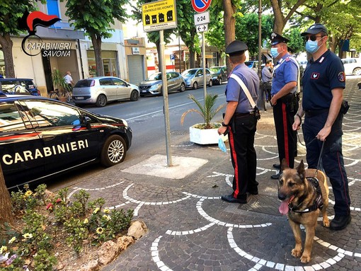 Operazione antidroga ad Albenga: arrestato uno spacciatore, un altro colpito da divieto di dimora nel savonese