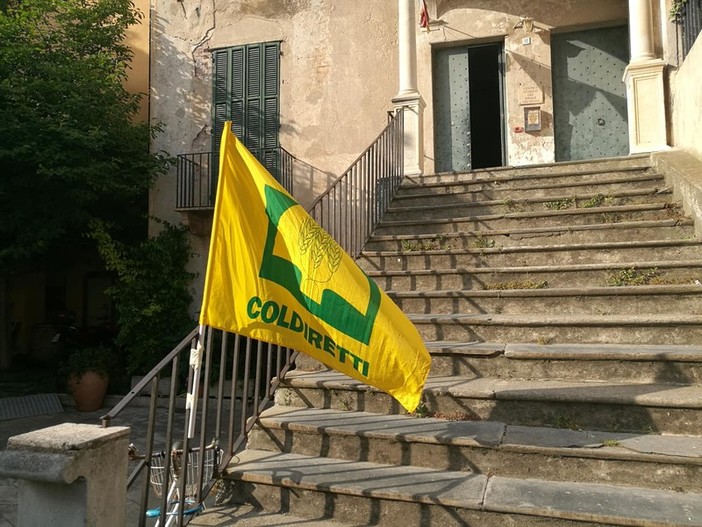 Meeting della Fraternità, a Roma il tavolo di confronto: Coldiretti e Campagna Amica per un cibo come strumento di pace e dialogo